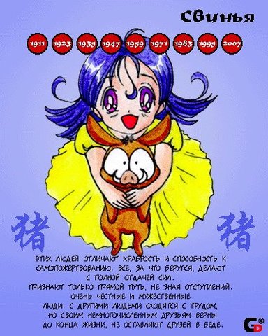 Год Свиньи