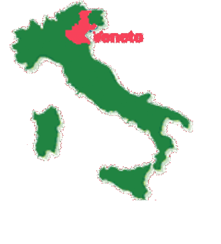 Italia logra la incorporacion de "Veneto"