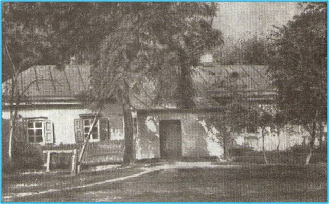 Дата рождения