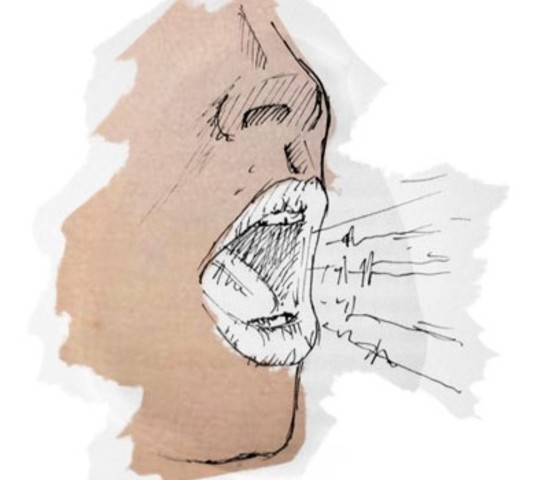 First Clear Human Speech Transmitted