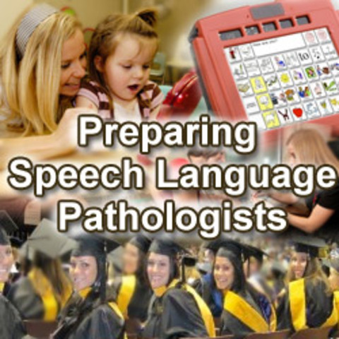 Undergraduate degree