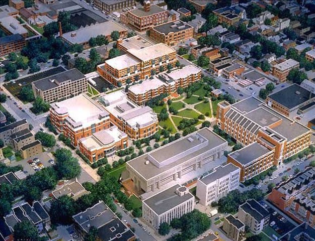 Senior Year: The Finale