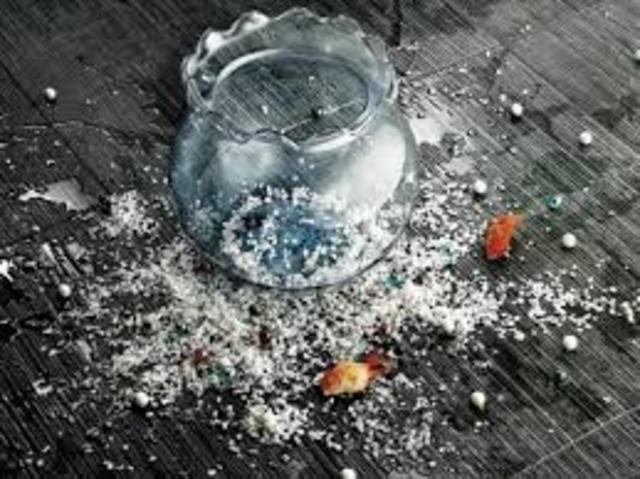 My school was broken into :o