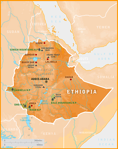 Italian invasion of Ethiopia