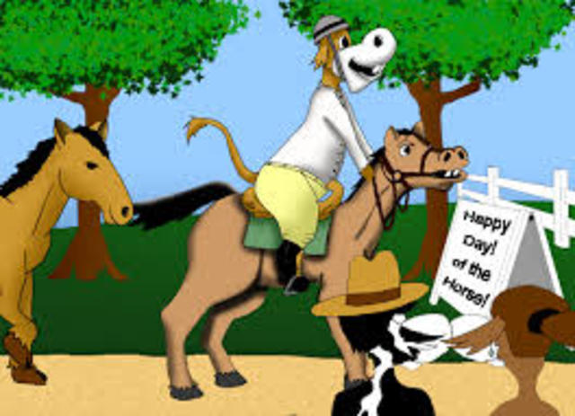 Importance of the horse