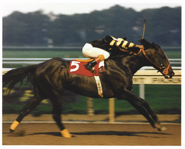 Ol seattle slew