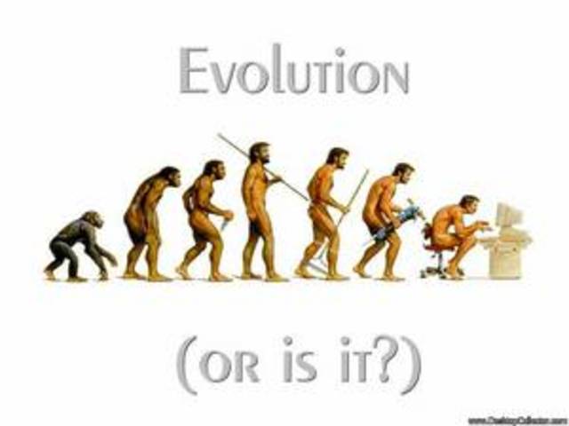 Homosapiens Evolve
