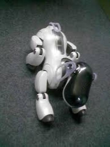 AIBO