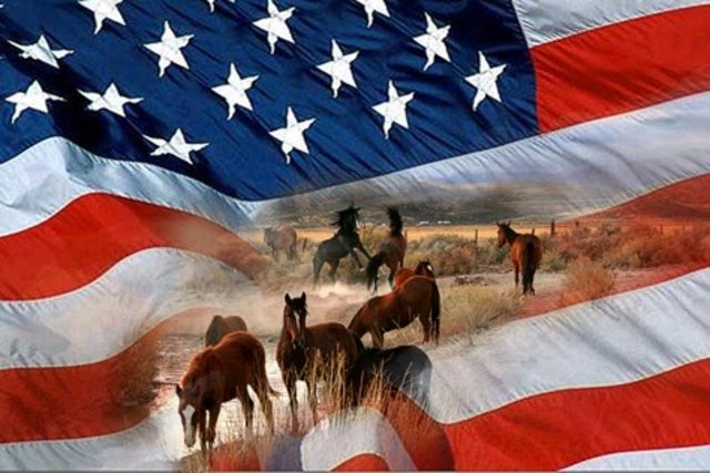 Nevada Congressman, Walter Baring introduced a bill prohibiting the use of motorized vehicles to hunt wild horses and burros on all public lands. The House of Representatives unanimously passed the bill known as the "Wild Horse Annie Act".