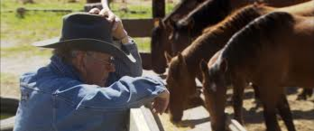 Dayton O. Hyde founds the Institute of Range and the American Mustang