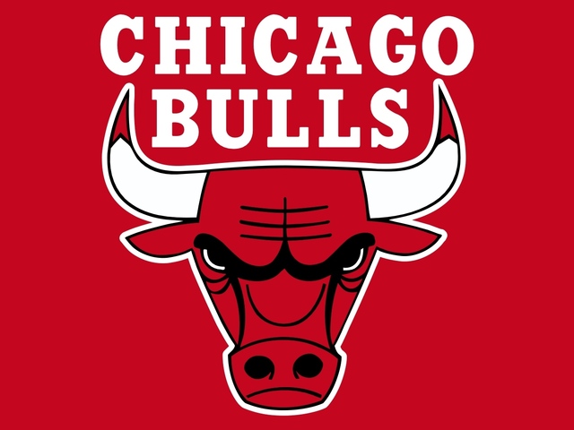 Go to a Bulls game