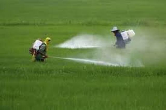 COMIENZO DE LOS RIEGOS.