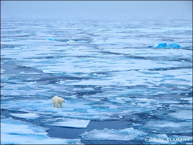 PÉRDIDA TOTAL DE LA BANQUISA DE HIELO DEL ÁRTICO