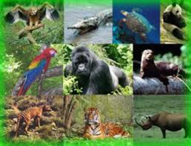 EXTINCIÓN DE ESPECIES