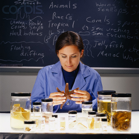 Get a full time job as a vet/ marine biologist