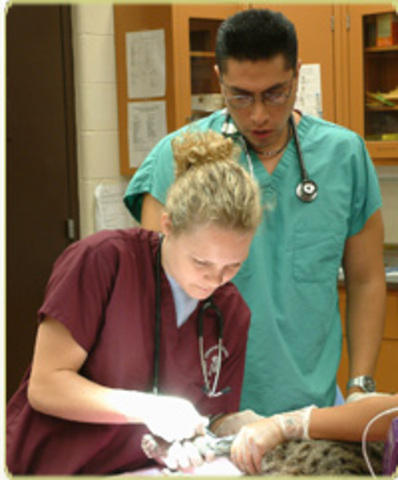 Get a job/ internship