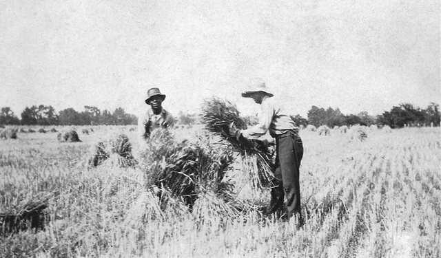 when slavery in america began