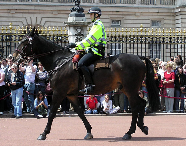 Metropolitan police