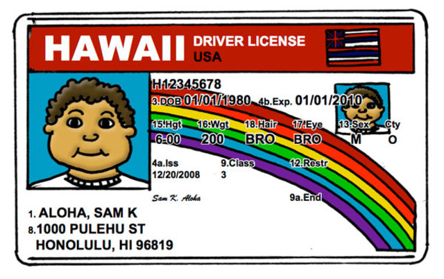 Drivers License