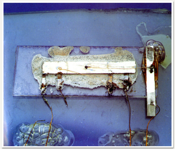 Introduction of the MicroChip