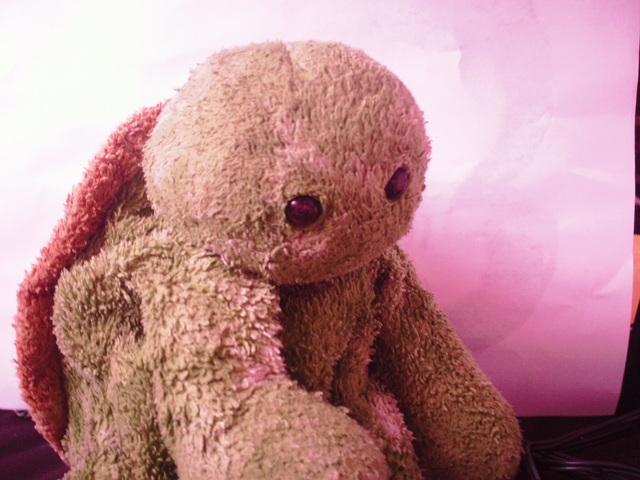 Integrity Vs. Despair: My Beautiful Death