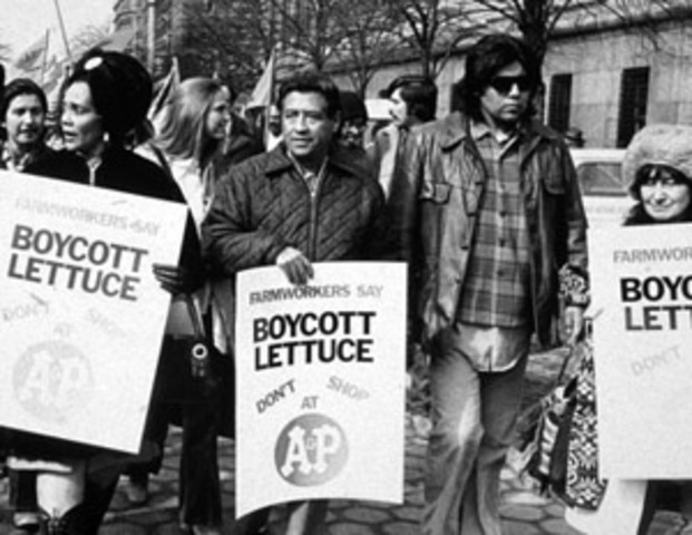 Salad Bowl Strike begins.