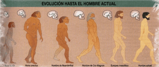 Publica "La ascendencia del hombre"