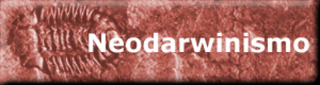 Neodarwinismo