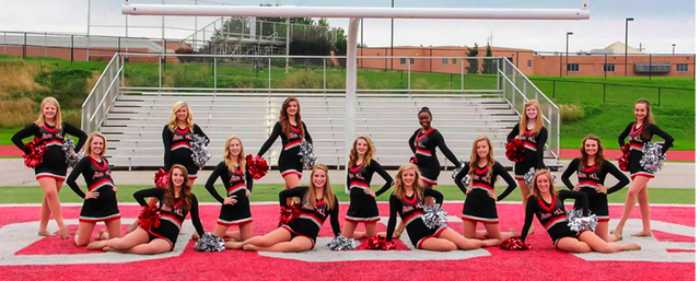 Made the Dance Team; IDENTITY VS ROLE CONFUSION