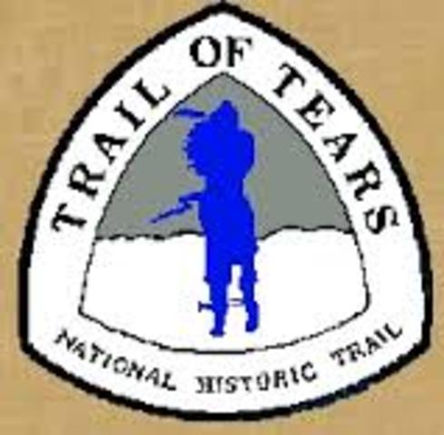 Cherokee Removed (Trail of Tears)