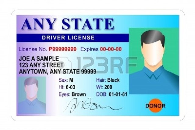 Driver's License