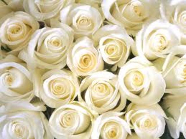 a wedding (intimacy v. isolation )