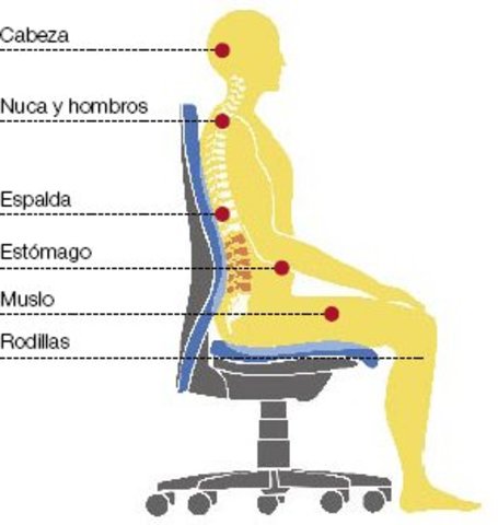 Creación de normas o estándares ergonómicos