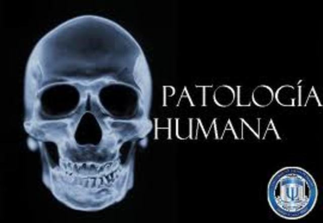 No se patologiza al sujeto