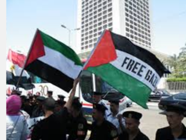 Foreign activists protest in Cairo