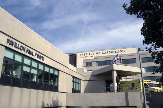 Construction du pavillon Paul David