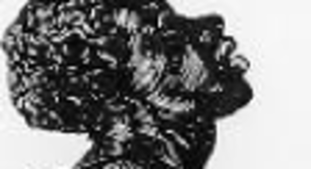 Slavery in the new world