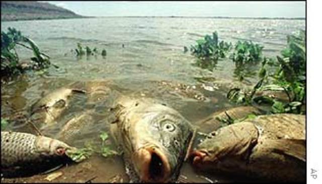 Toxic Spill in National Park