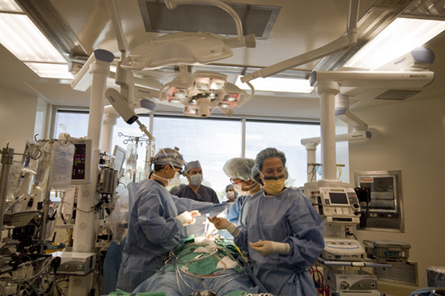 Nouveau bloc opératoire