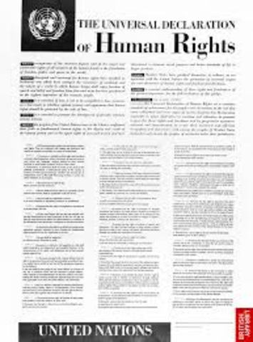 U.N. Universal Declaration of Human Rights