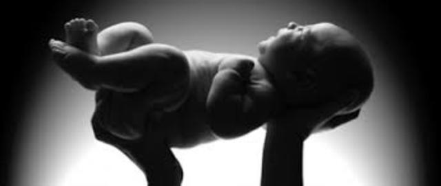 Nací en la Ciudad de México