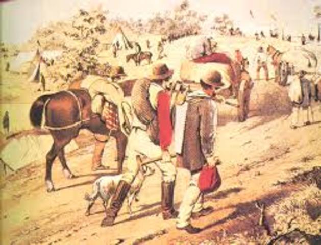 Australian Gold Rush