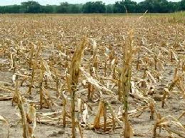 Habitats naturales amenazados 2.001 a la actualidad