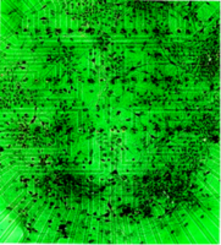 Microelectrode arrays first successfully used