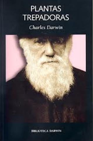 Tercer libro sobre geología