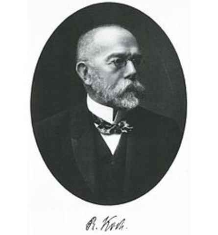 Robert Koch