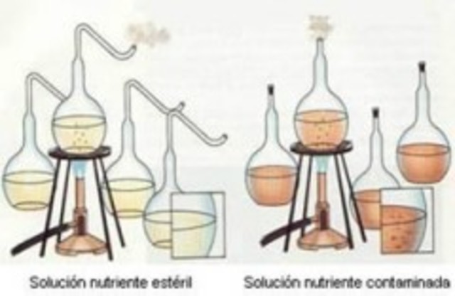 Teoría de la biogénesis