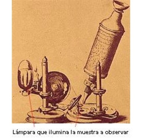 Microscopio compuesto