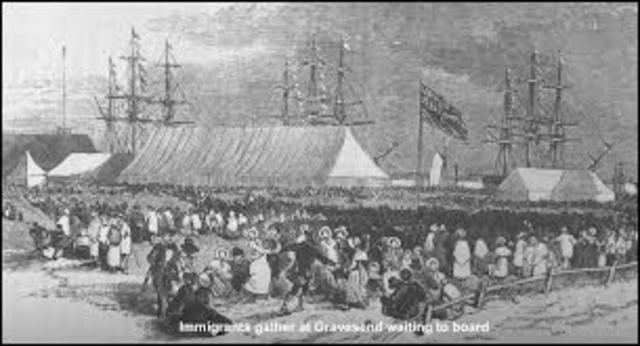 Polynesians colonised NZ