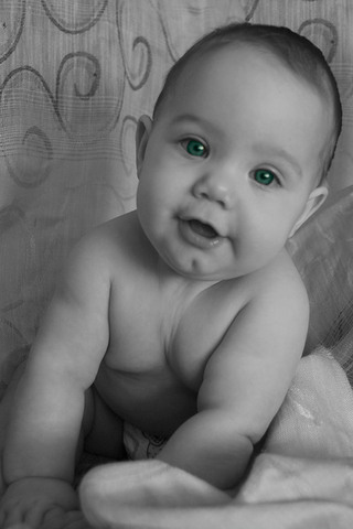 Wayne Gretzky is born